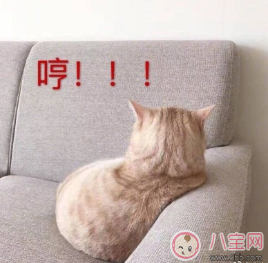 媽媽堵奶難受的心情說說 哺乳期奶堵難受的體驗感慨 媽媽堵奶難受的心情說說 哺乳期奶堵難受的體驗感慨