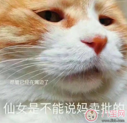 產后哺乳期媽媽的心情感受 哺乳期心情不好的說說朋友圈 產后哺乳期媽媽的心情感受 哺乳期心情不好的說說朋友圈