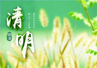 清明祭祖的寄語 2018關(guān)于清明祭祖后的感慨句子說說