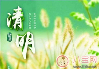 清明祭祖的寄語(yǔ) 2018關(guān)于清明祭祖后的感慨句子說(shuō)說(shuō) 清明祭祖的寄語(yǔ) 2018關(guān)于清明祭祖后的感慨句子說(shuō)說(shuō)