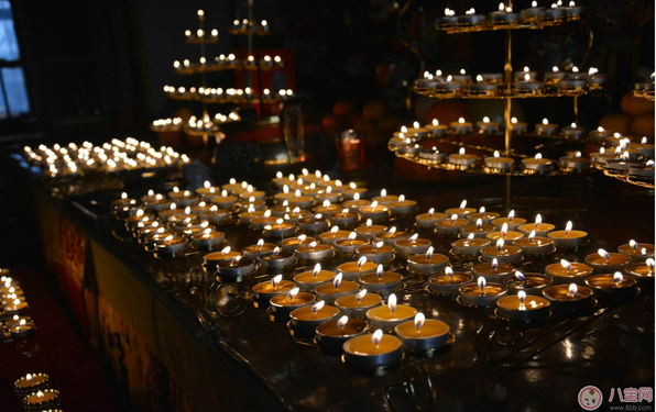 清明祭祖的寄語(yǔ) 2018關(guān)于清明祭祖后的感慨句子說(shuō)說(shuō) 清明祭祖的寄語(yǔ) 2018關(guān)于清明祭祖后的感慨句子說(shuō)說(shuō)