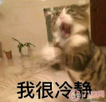 等待下一個假期的說說朋友圈 期待下一個假期的心情說說曬圖