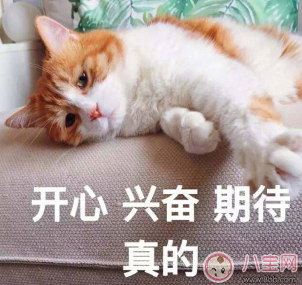 等待下一個假期的說說朋友圈 期待下一個假期的心情說說曬圖