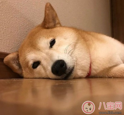 等待下一個假期的說說朋友圈 期待下一個假期的心情說說曬圖