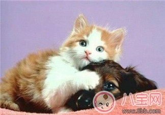 等待下一個假期的說說朋友圈 期待下一個假期的心情說說曬圖