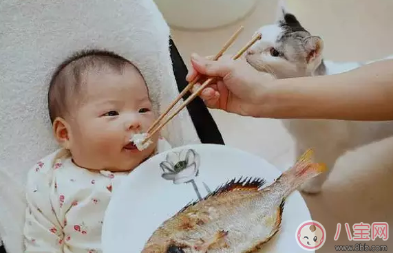 一周半的孩子春天補(bǔ)鈣吃什么好 一周半的孩子怎么補(bǔ)鈣 一周半的孩子春天補(bǔ)鈣吃什么好 一周半的孩子怎么補(bǔ)鈣