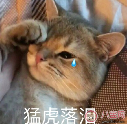 懷孕難受的經(jīng)典說說 懷孕太辛苦不舒服的說說圖片 懷孕難受的經(jīng)典說說 懷孕太辛苦不舒服的說說圖片