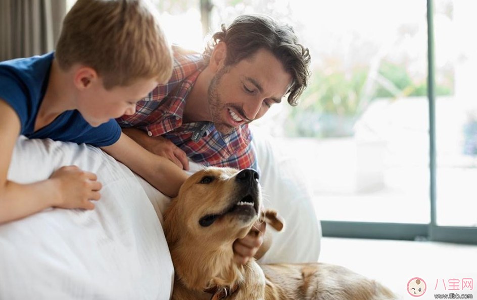 孩子對數學不感興趣怎么辦 如何提高孩子學習數學興趣 孩子對數學不感興趣怎么辦 如何提高孩子學習數學興趣