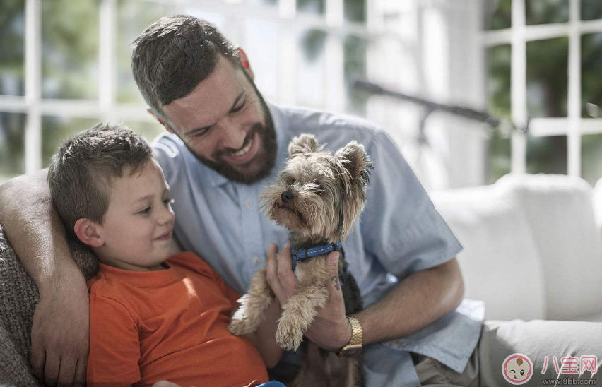 帶男孩的時候要注意哪些 帶男孩的時候和女孩之間有哪些區(qū)別