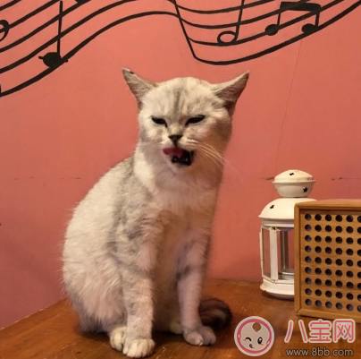 產后減肥的搞笑說說圖片 產后減肥的勵志說說心情 產后減肥的搞笑說說圖片 產后減肥的勵志說說心情