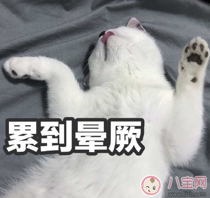 哄孩子睡覺的心情說說 哄娃睡覺的搞笑說說圖片 哄孩子睡覺的心情說說 哄娃睡覺的搞笑說說圖片