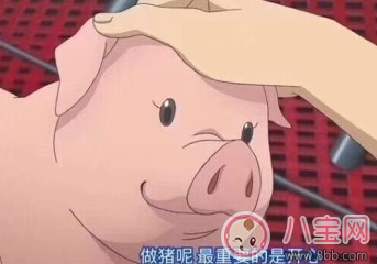 減肥第一天怎么發說說 減肥第一天的說說心情朋友圈