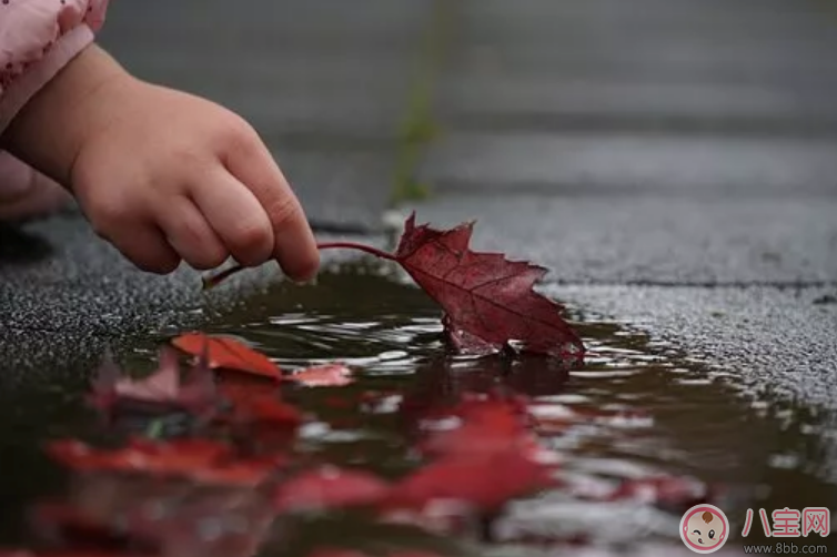 鄧莎兒子寫字用左手好不好 孩子用哪只手寫字需要糾正嗎