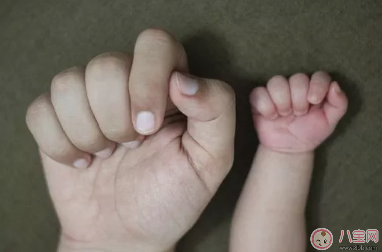 鄧莎兒子寫字用左手好不好 孩子用哪只手寫字需要糾正嗎