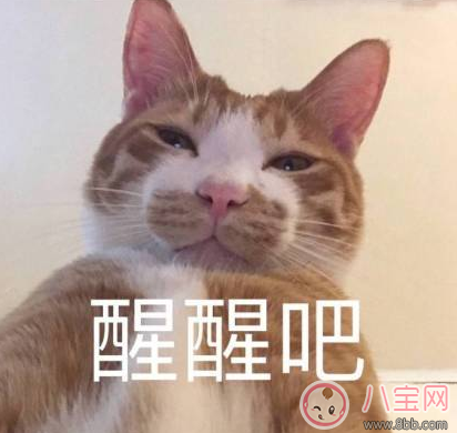 春天換個新發型的說說朋友圈 換個發型換種心情的唯美句子