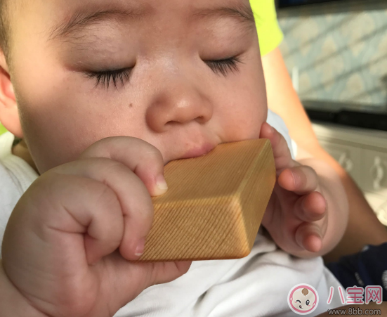 soopsori積木玩具怎么樣 soopsori原木積木玩具寶寶喜歡嗎