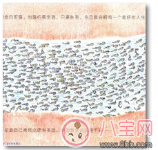 怎么通過(guò)繪本來(lái)給孩子普及性教育 孩子對(duì)性感興趣怎么跟他解釋