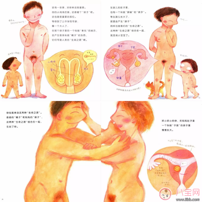 怎么通過(guò)繪本來(lái)給孩子普及性教育 孩子對(duì)性感興趣怎么跟他解釋