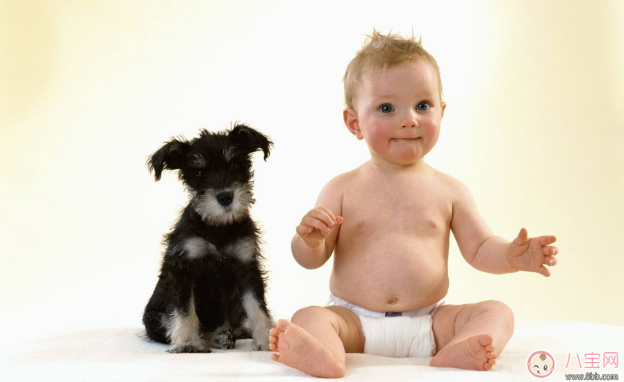 孩子長大還認生怎么辦 家長應該干預孩子的性格嗎