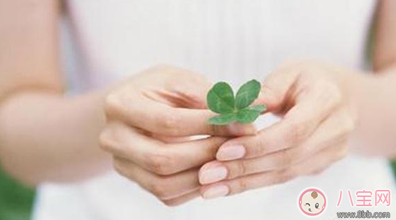 卵巢囊腫怎么治療最好 卵巢囊腫調理方法