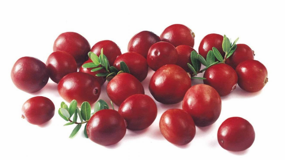 蔓越莓能治療婦科炎癥嗎 澳洲swisse蔓越莓月經期間能吃嗎 蔓越莓能治療婦科炎癥嗎 澳洲swisse蔓越莓月經期間能吃嗎