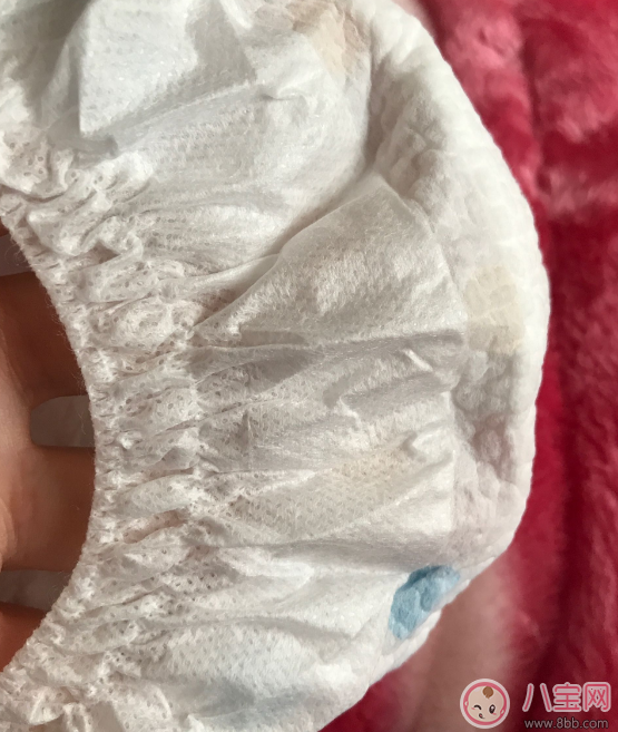 爽然拉拉褲和好奇金裝哪個好 爽然拉拉褲和好奇金裝對比圖片