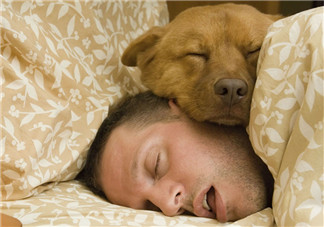 春天為什么睡覺越睡越累 睡得越多對皮膚越好嗎 春天為什么睡覺越睡越累 睡得越多對皮膚越好嗎