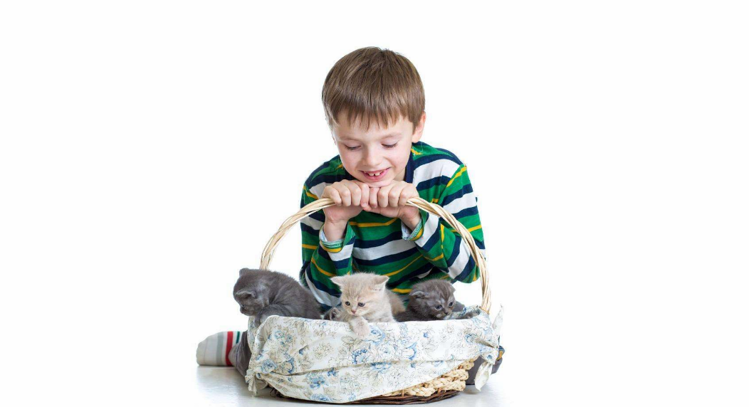 孩子好勝心太強(qiáng)怎么辦 家長(zhǎng)如何引導(dǎo)孩子正確的輸贏觀