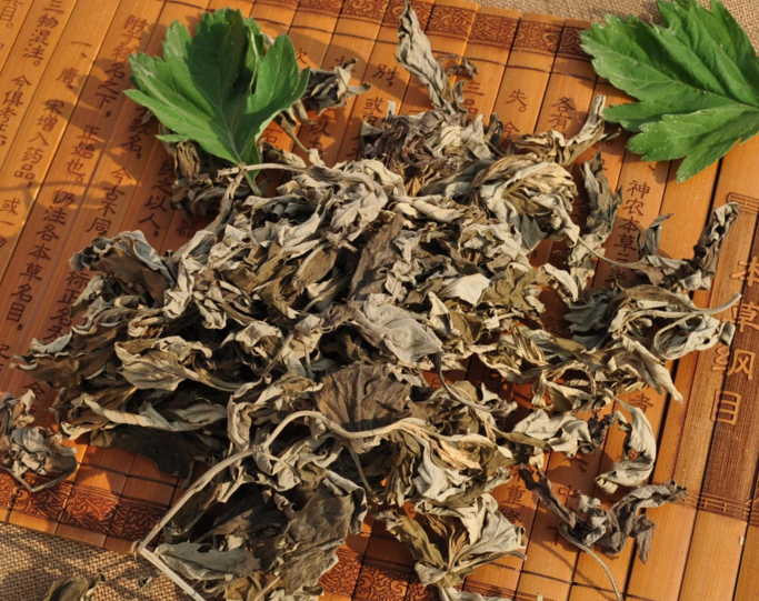 艾草泡腳能去濕氣嗎 用什么泡腳可以去濕氣 艾草泡腳能去濕氣嗎 用什么泡腳可以去濕氣