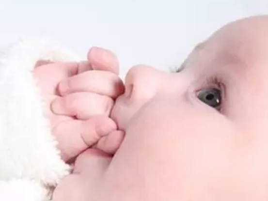 寶寶夏天吃輔食不吃奶怎么辦 夏天寶寶厭奶怎么辦 寶寶夏天吃輔食不吃奶怎么辦 夏天寶寶厭奶怎么辦