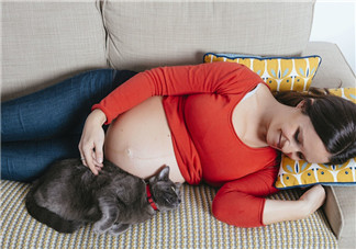 孕期養寵物會感染細菌嗎 懷孕寵物就不能養了嗎