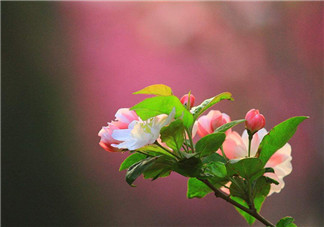 2018下春雨的心情說(shuō)說(shuō) 形容春雨的說(shuō)說(shuō)句子感慨朋友圈