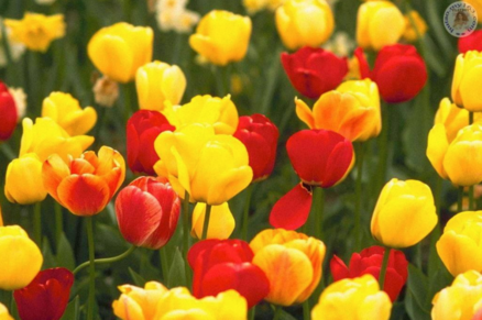 2018下春雨的心情說(shuō)說(shuō) 形容春雨的說(shuō)說(shuō)句子感慨朋友圈