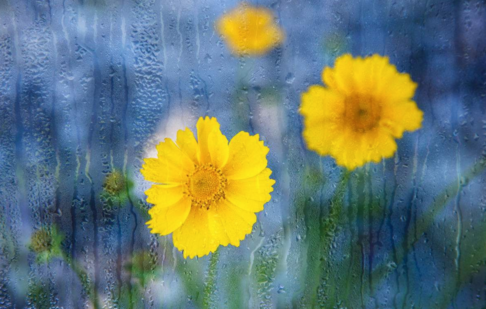 2018下春雨的心情說(shuō)說(shuō) 形容春雨的說(shuō)說(shuō)句子感慨朋友圈