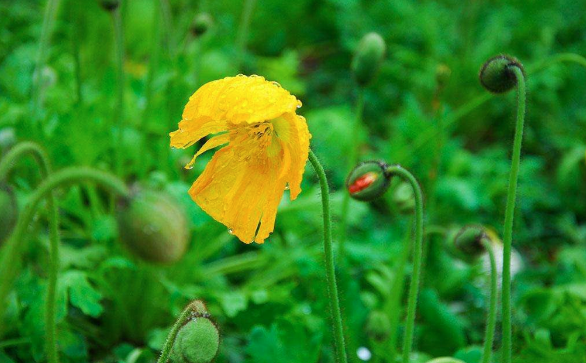 2018下春雨的心情說(shuō)說(shuō) 形容春雨的說(shuō)說(shuō)句子感慨朋友圈