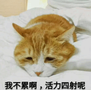 陪孩子做作業累的說說朋友圈 陪孩子寫作業抓狂心情感慨 陪孩子做作業累的說說朋友圈 陪孩子寫作業抓狂心情感慨