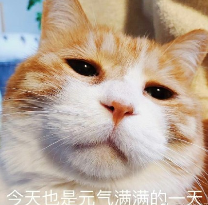 陪孩子做作業累的說說朋友圈 陪孩子寫作業抓狂心情感慨 陪孩子做作業累的說說朋友圈 陪孩子寫作業抓狂心情感慨