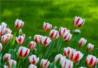 2018再見春天你好夏天的心情說說 2018春天再見夏天你好的感慨句子說說 2018再見春天你好夏天的心情說說 2018春天再見夏天你好的感慨句子說說