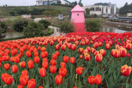 2018再見春天你好夏天的心情說說 2018春天再見夏天你好的感慨句子說說 2018再見春天你好夏天的心情說說 2018春天再見夏天你好的感慨句子說說