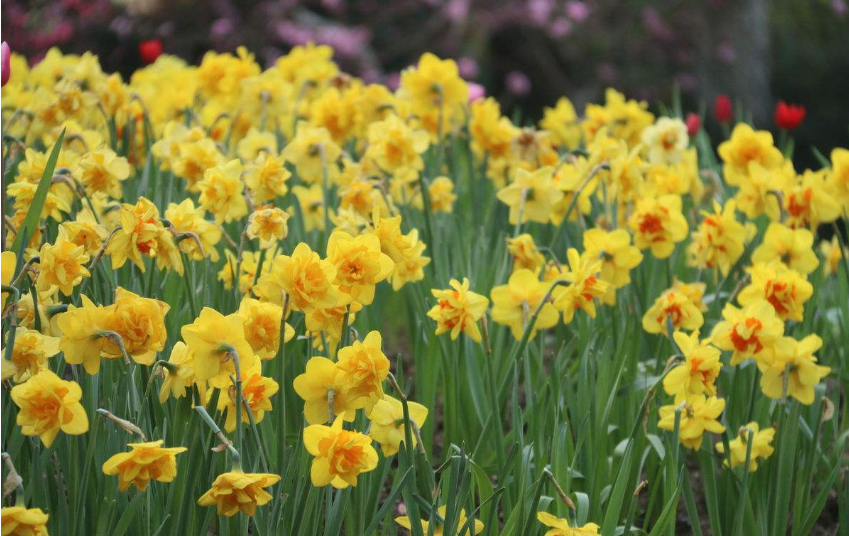 2018再見春天你好夏天的心情說說 2018春天再見夏天你好的感慨句子說說 2018再見春天你好夏天的心情說說 2018春天再見夏天你好的感慨句子說說