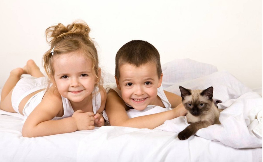 家長(zhǎng)是否應(yīng)該無(wú)條件滿足孩子的要求 孩子的要求父母一定要滿足嗎