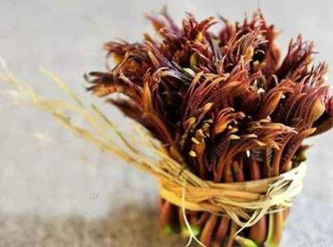 香椿可以曬干嗎 香椿曬干能保存多久