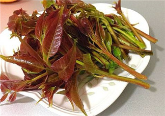 香椿可以曬干嗎 香椿曬干能保存多久