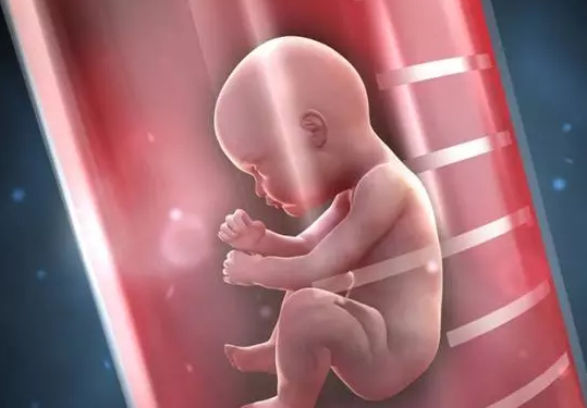 子宮內(nèi)膜與試管嬰兒成功率 試管嬰兒子宮內(nèi)膜厚度多少最好