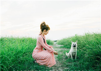 形容夏天來臨的句子 描寫夏天的唯美簡單短句 形容夏天來臨的句子 描寫夏天的唯美簡單短句