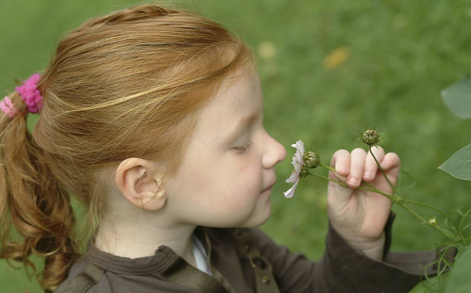 孩子春季過敏怎么辦 孩子春季過敏系相關問題解答 孩子春季過敏怎么辦 孩子春季過敏系相關問題解答