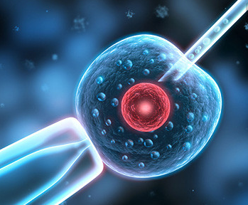 人工授精疼還是試管疼 人工授精和試管嬰兒的區(qū)別