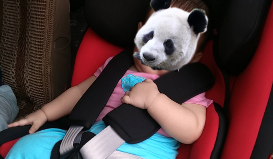 Eurokids兒童安全座椅怎么樣 Eurokids安全座椅使用測評