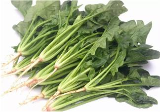 孩子吃什么對眼睛好 哪些食物對孩子的視力有幫助2018 孩子吃什么對眼睛好 哪些食物對孩子的視力有幫助2018