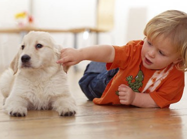 寶寶一周歲朋友圈感言 寶寶一周歲心情說說配圖 寶寶一周歲朋友圈感言 寶寶一周歲心情說說配圖